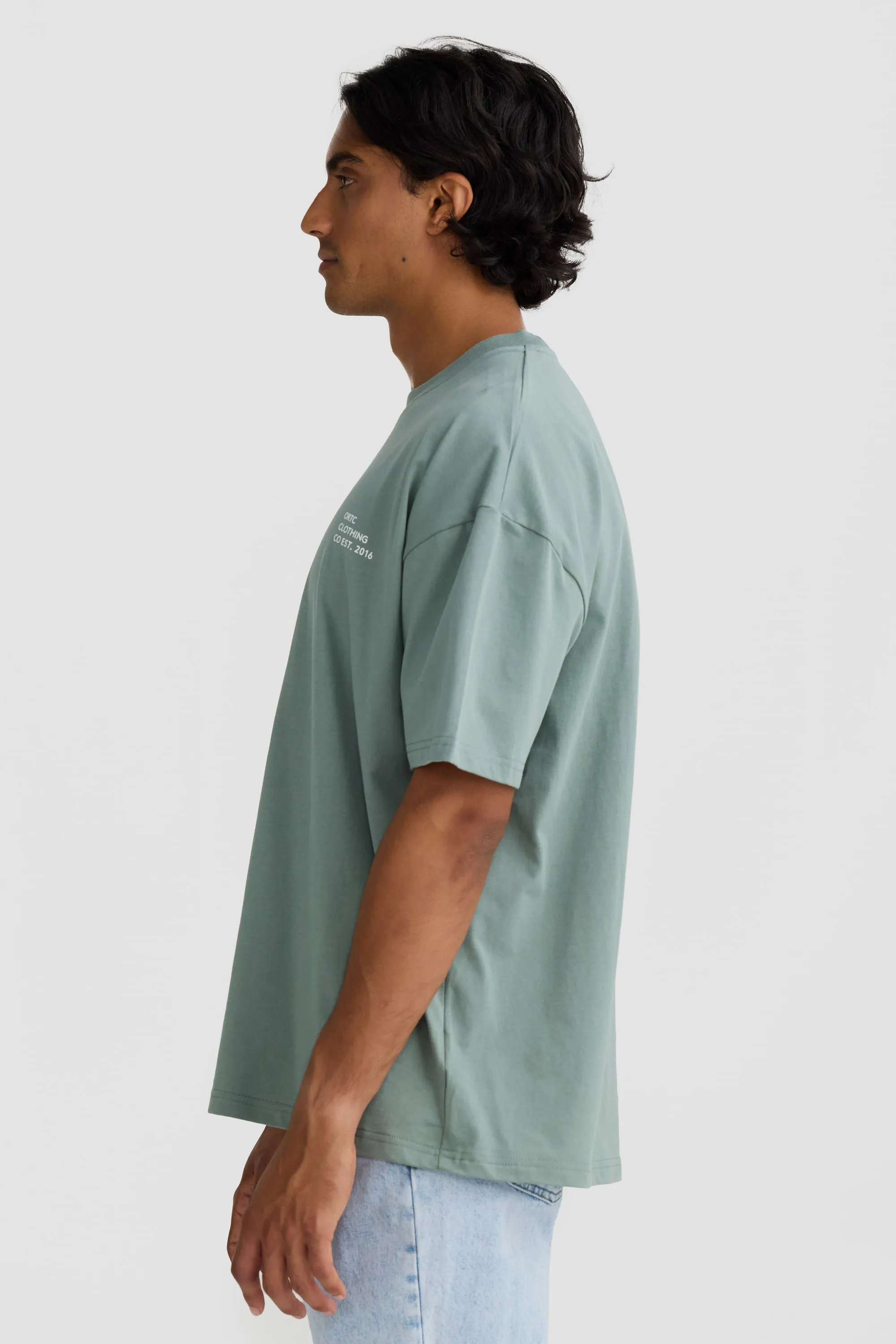 Box Fit Logo T Shirt Sage