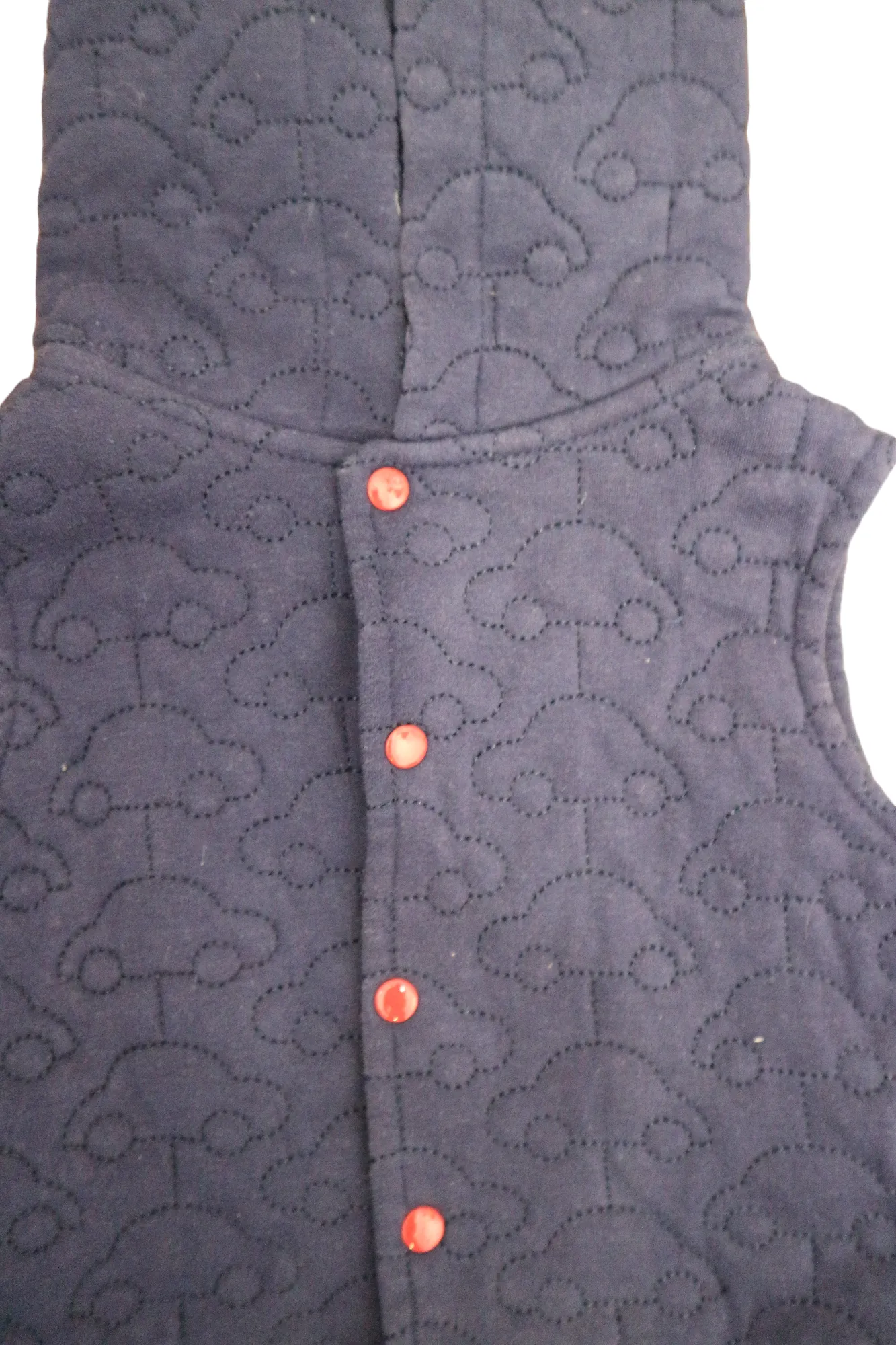 Ollie's Place Vest, 00