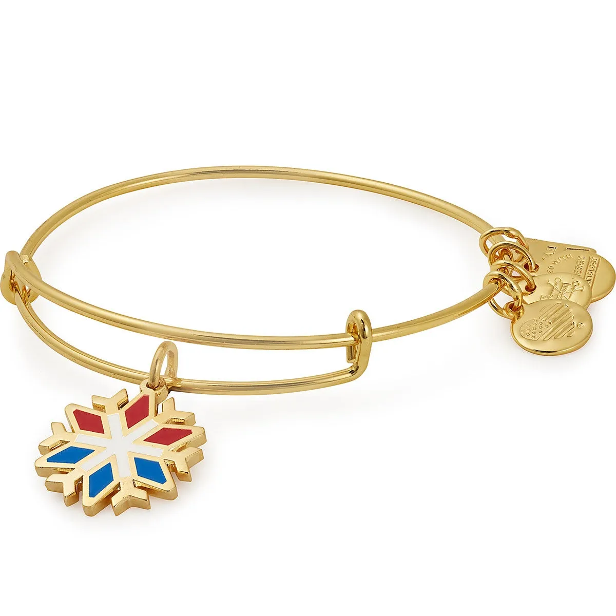 Team USA Snowflake Charm Bangle