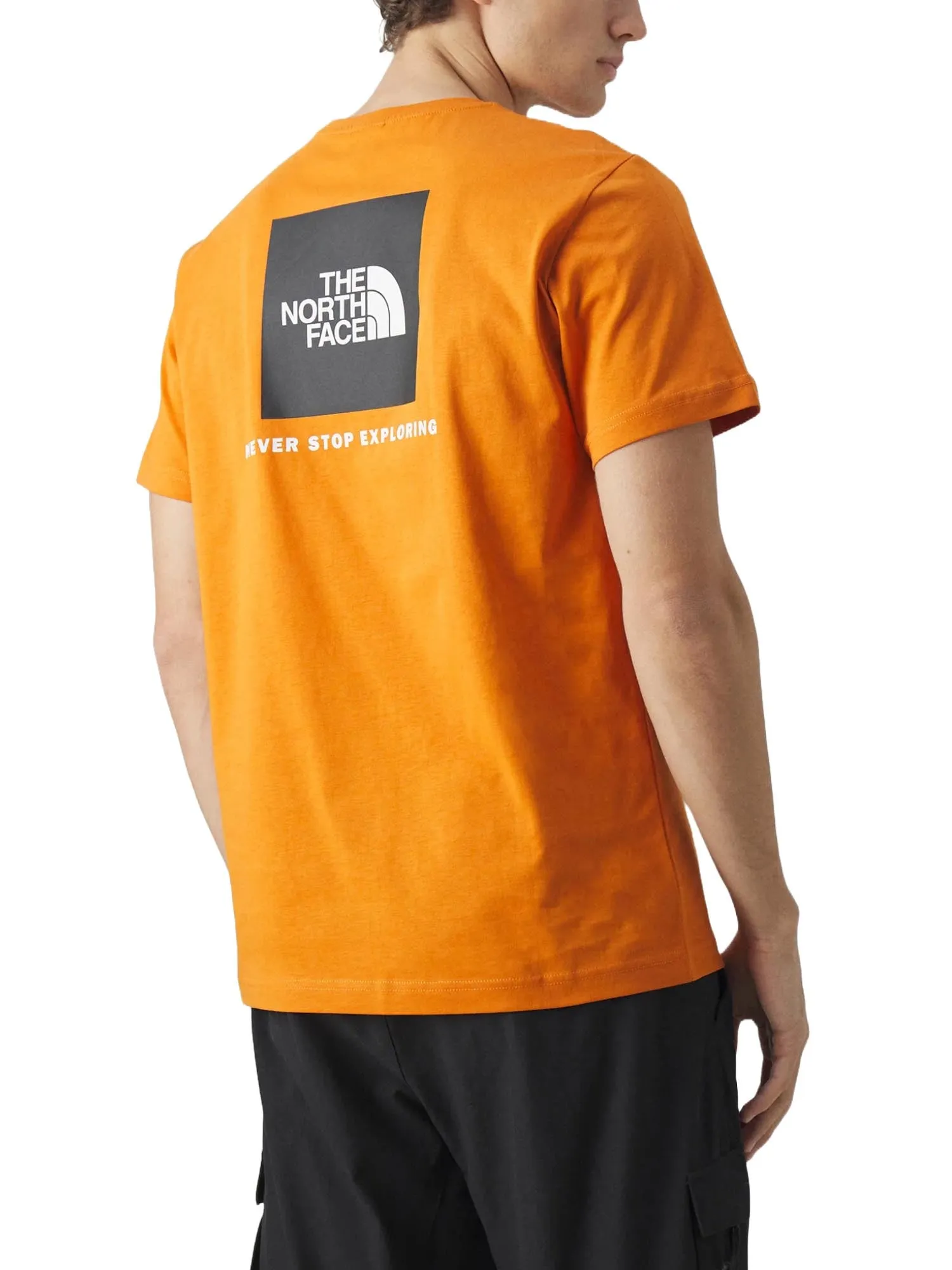 The North Face T-shirt NF0A87NP